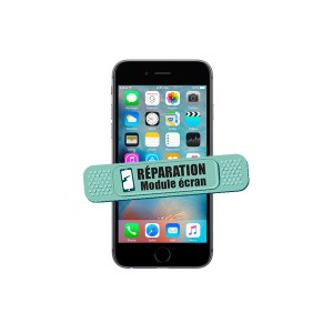Module Ecran - Iphone 6s
