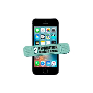 Schermmodule - Iphone SE