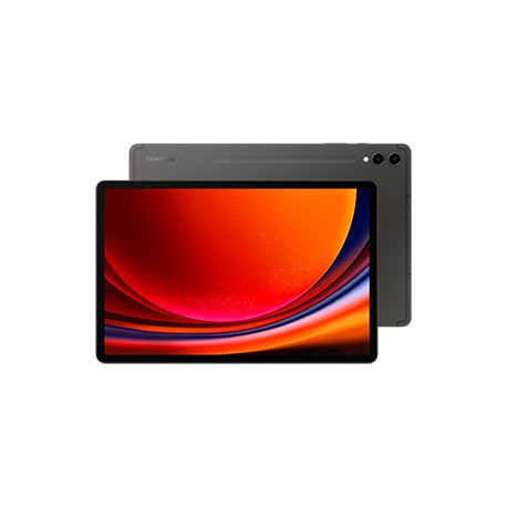 Samsung Galaxy Tab S9+ SM-X816B 5G 256Go Wi-Fi Graphite