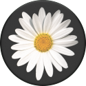 Popsocket - White Daisy