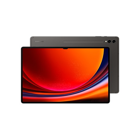 Samsung Galaxy Tab S9 Ultra SM-X910N 256Go Wi-Fi Graphite