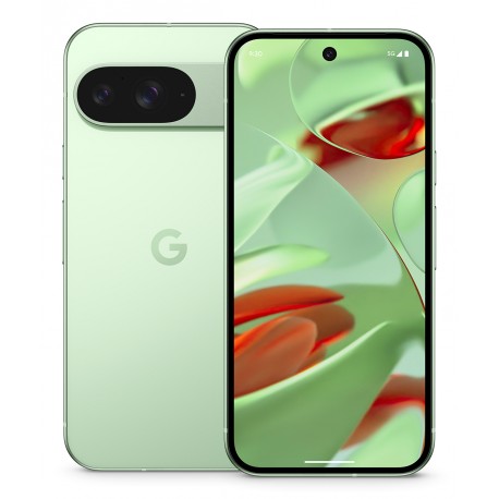 Google Pixel 9 256Go Wintergreen