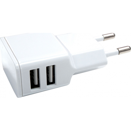 Grab 'n Go 2.4 Amp Dual USB Wall Charger White