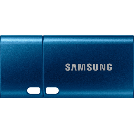 Samsung USB Flash Drive Type-C 256GB - Blauw
