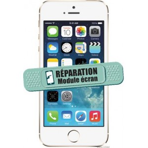 Module Ecran - iphone 5S