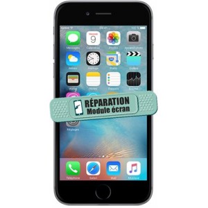 Module Ecran - iphone 6+